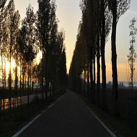 Mein Inselglueck 라이헤나우