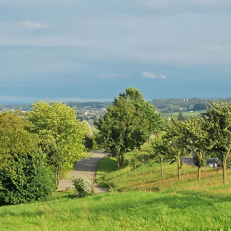 Mein Inselglueck 라이헤나우