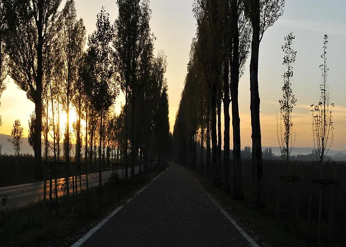 Mein Inselglueck Reichenau